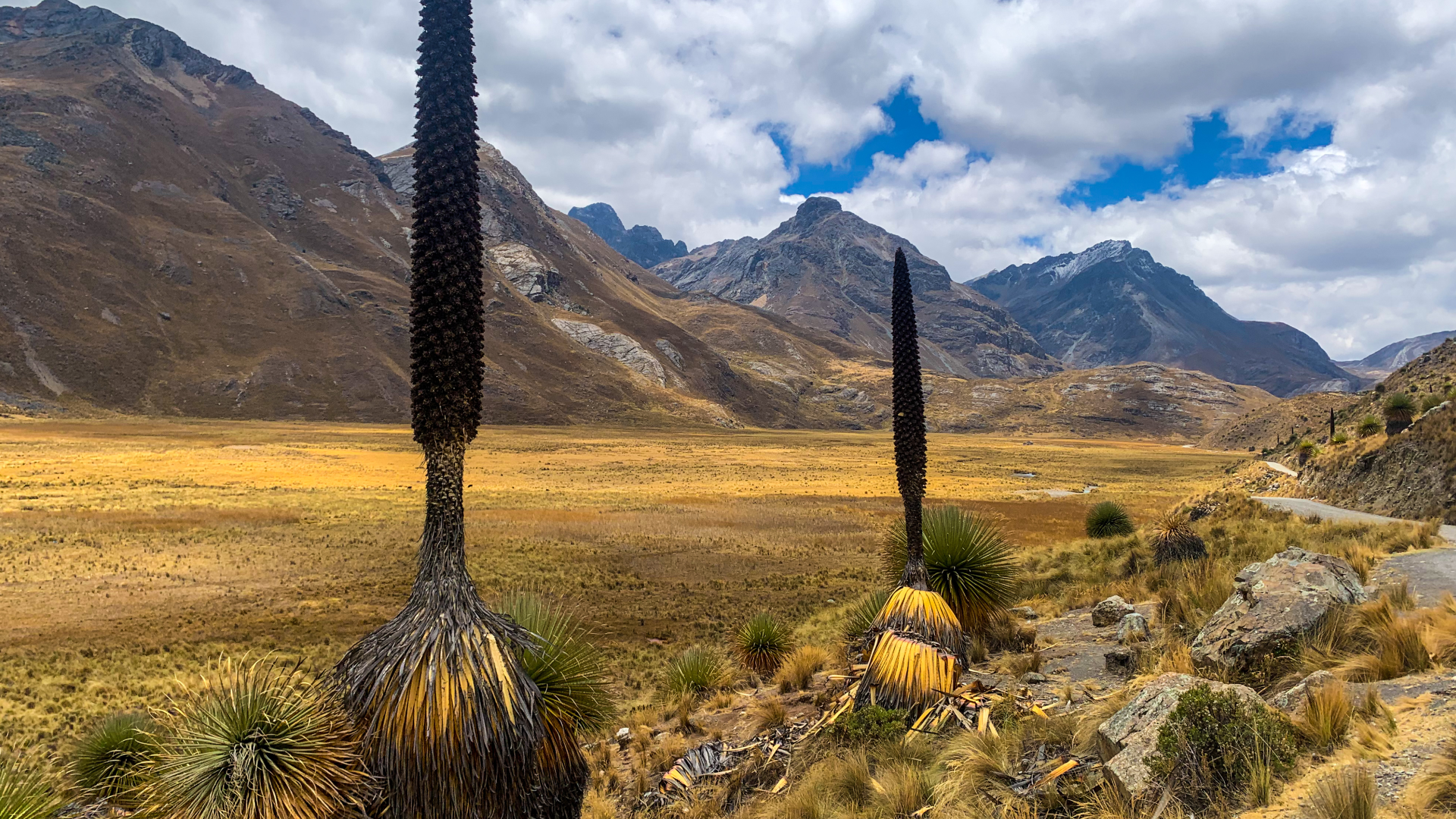 Huaraz 6 Días / 5 Noches